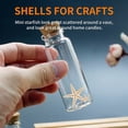 thumbnail image 3 of Little Starfish Star Sea Shell Beach Craft 0.4"-1.2" 90pcs, 3 of 5