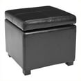 thumbnail image 1 of Safavieh Elizabeth Beech Wood Leather Storage Ottoman in Black, 1 of 5