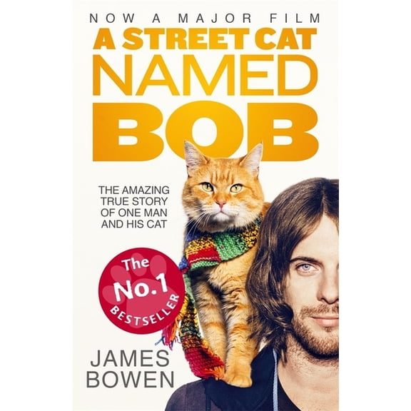 A Street Cat Named Bob, (Paperback)
