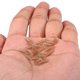 thumbnail image 5 of Alineador anti-Pesca Alineador Mangas anti-Ajuste de Gancho Doblado Alineador de Carpas de Pesca Plataforma de Cabello Accesorio, 5 of 6