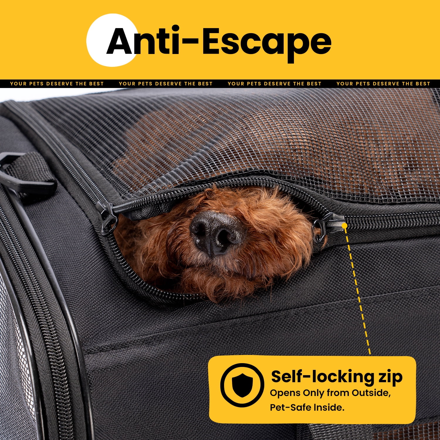 Conlun Cat Dog Carrier,Soft-Sided Pet Carriers for Dogs with 4-Sided Mesh,Cat Transport for Large Cats Small Dog Up to 9.9Kg,Collapsible Dat Travel Carrier-L,Black