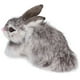 thumbnail image 1 of Conejito realista juguete de conejito Conejo de peluche realista Decoración navidea Animal Conejo suave Juguete de peluche Mascota Animales lindos animales de peluche y osos de peluche, 1 of 9