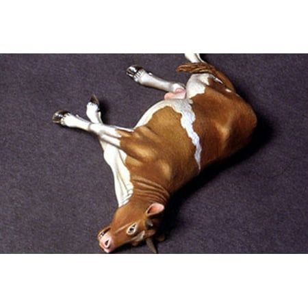 - Doug's Original 1:35 Dead Cow - Animal Resin Figure Kit #DO35A02