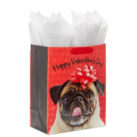 Hallmark Large Valentine's Day Gift Bag with Tissue Paper (Pug Bow)