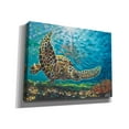 thumbnail image 2 of Epic Graffiti 'Deep Sea Swimming I' by Carolee Vitaletti Canvas Wall Art, 34"x26", 2 of 3