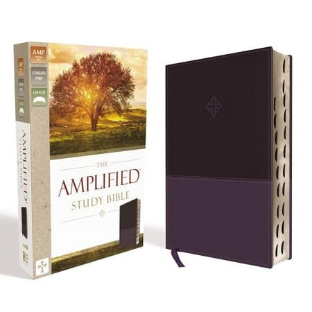 Amplified Study Bible, Imitation Leather, Purple,