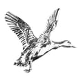 thumbnail image 1 of Jack Pyke Badge Canard, 1 of 2