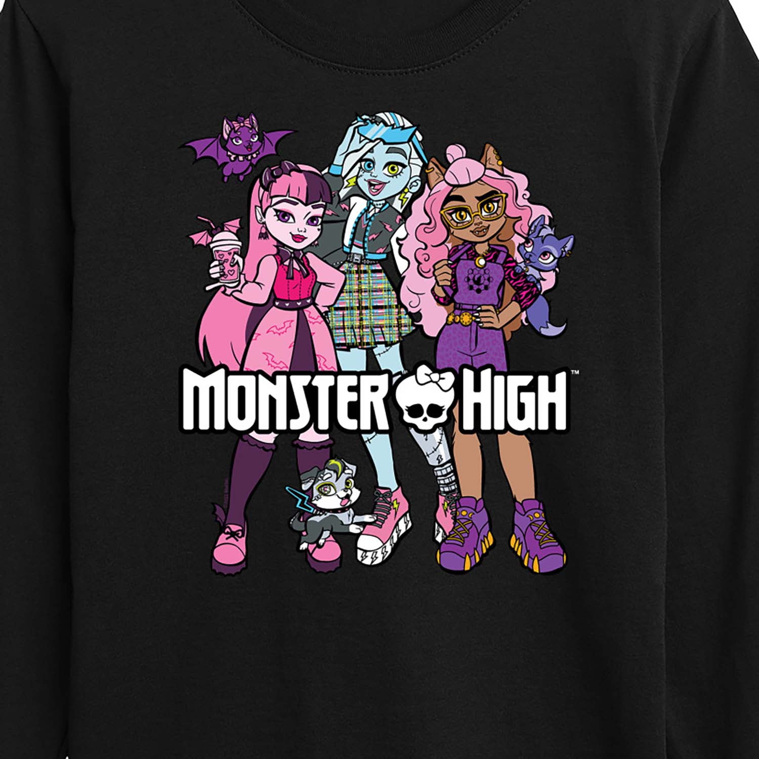 Monster High - Group With Pets - Toddler And Youth Long Sleeve Graphic T-Shirt
