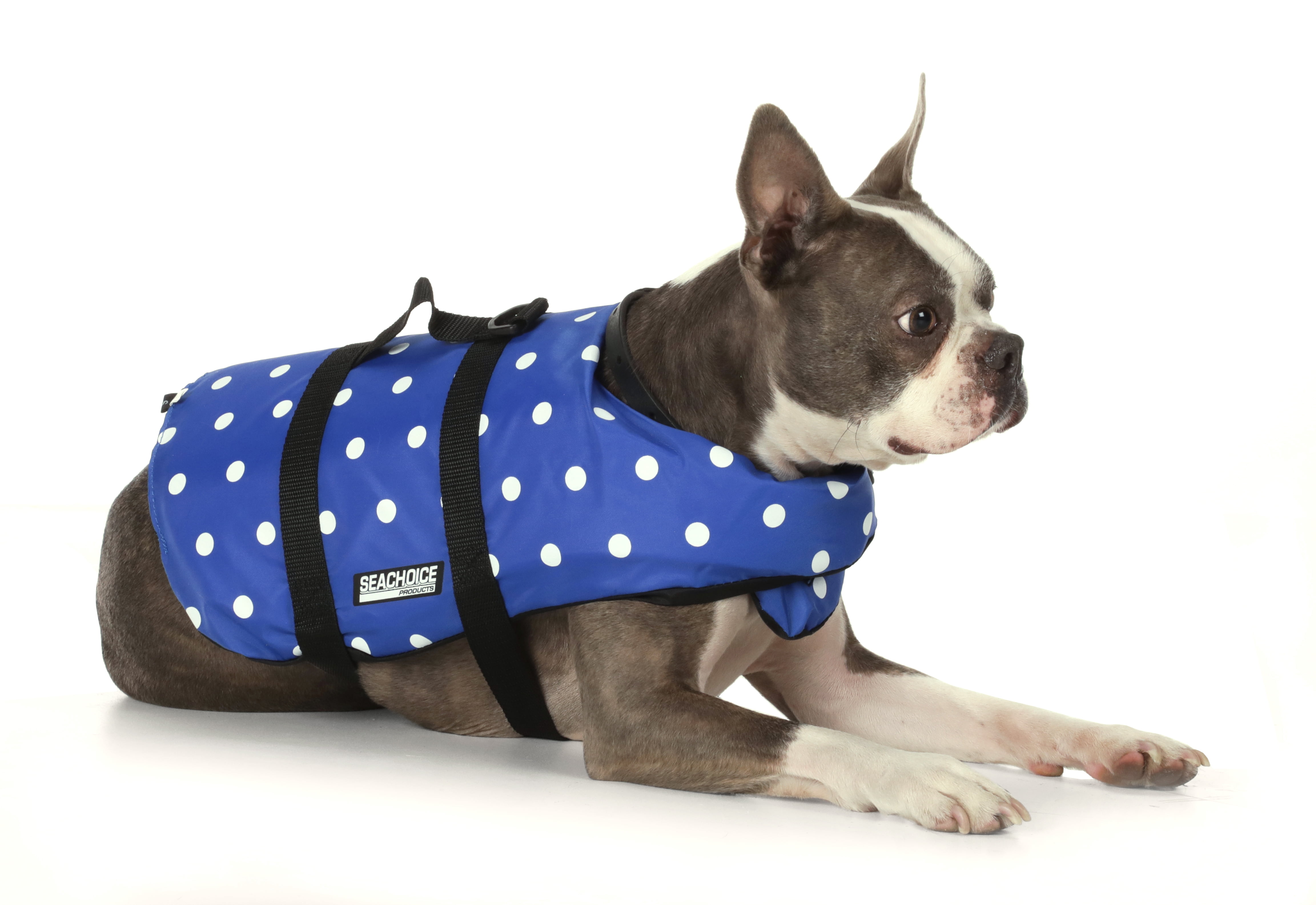 xs dog life jacket