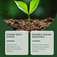 thumbnail image 4 of YardVibe Mycorrhizal Fungi for Soil, Root Enhancer for Plant Growth, Organic Root Stimulator & Rooting Hormone for Cuttings Hydroponics Nutrient Fertilizer for Vegetable Flower Tree - 3.5 Ounce, 4 of 9