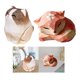 thumbnail image 1 of 2 uds Estatuilla de animales de madera Decoración del hogar en miniatura BLESIY Estatuilla Estatua, 1 of 7
