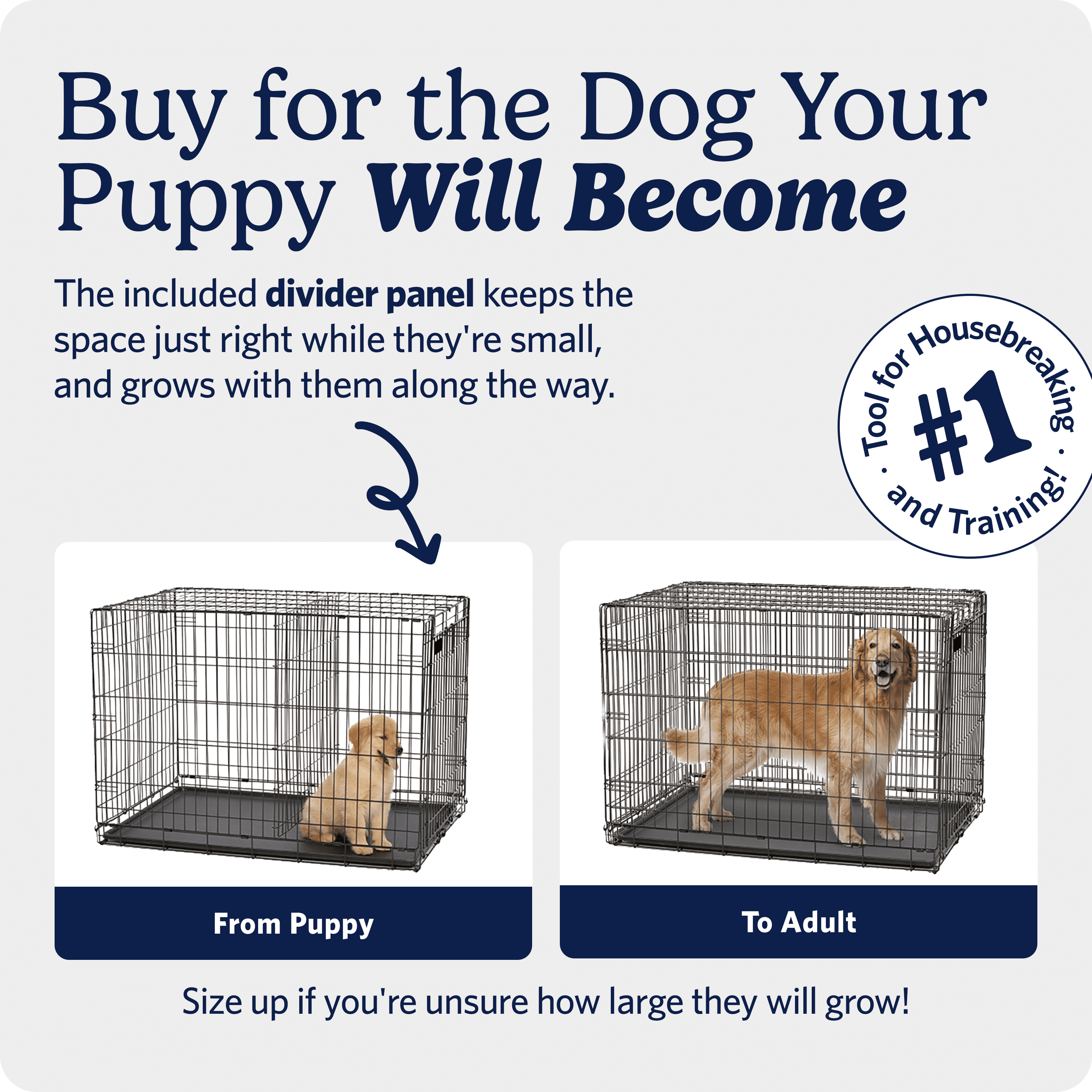 MidWest Homes for Pets 42-Inch Two-Door iCrate Folding Dog Crate with Divider Panel, Leak-Proof Tray & Secure Latches – Metal Wire Kennel for Large Breeds – Portable, Durable & Easy to Assemble