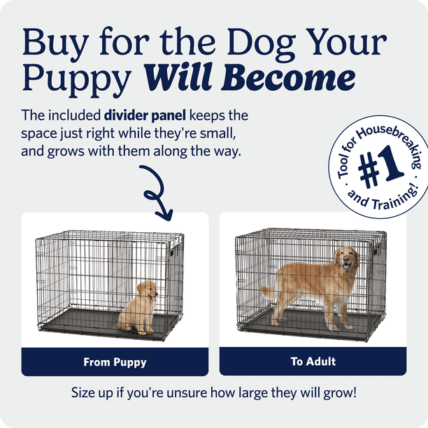 MidWest Homes for Pets 42-Inch Two-Door iCrate Folding Dog Crate