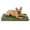 Olivine, variant on FurHaven Gridded Ripstop All-Weather Deluxe Orthopedic Mattress Pet Bed, Capri Blue, Medium