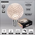 thumbnail image 3 of Wintergreen Lighting G50 OptiCore Heavy Duty Shatterproof Warm White LED Pathway Light Kit, 25 Lights, 25 ft, 3 of 7