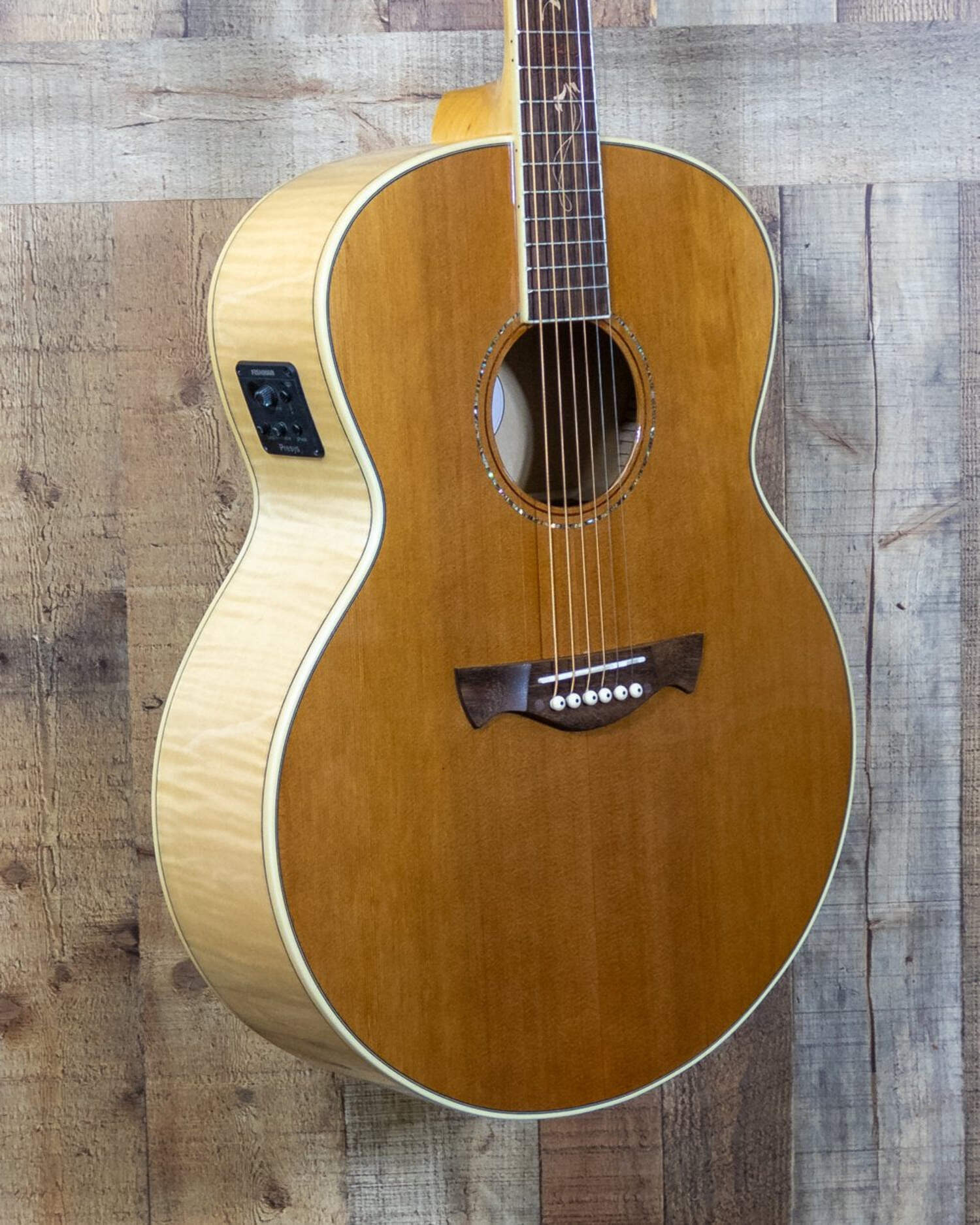 Tagima Florens Series Jumbo A/E Non-Cutaway
