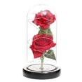 thumbnail image 1 of Rosa artificial en cúpula de cristal con caja de regalo con luces LED para siempre Flor de rosa arti Abanopi Rojo, 1 of 7