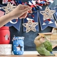 thumbnail image 4 of for with toy And 6Cm Rattan Five Pointed Star Vase Decoration Pendant Pet toy, 4 of 6