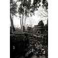 thumbnail image 2 of Berzel, Erin 23x32 White Modern Wood Framed Museum Art Print Titled - Ancient Ta Prohm IV, 2 of 4