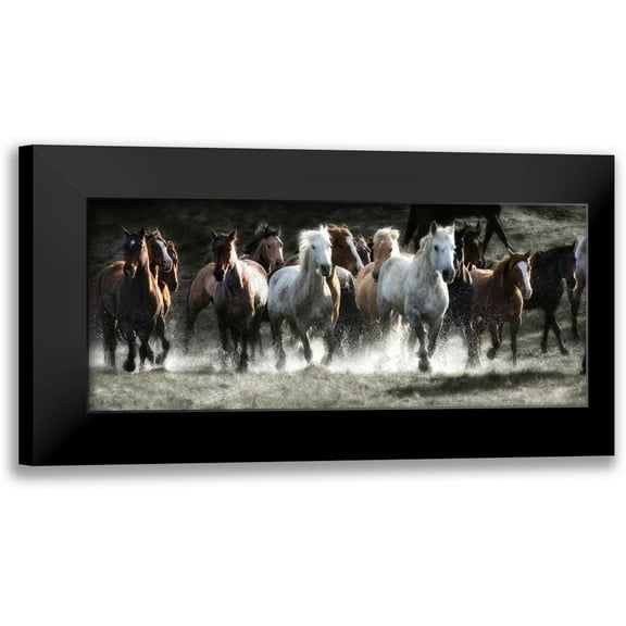 Dearing, Lisa 14x8 Black Modern Framed Museum Art Print Titled - Renegades
