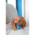 thumbnail image 3 of Nylabone Puppy Dental Dinosaur Chew Toy for Teething Puppies Chicken Small (1 Count), 3 of 13