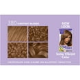 SoftSheenCarson Dark & Lovely Fade Resist Hair Color, 380 Chestnut