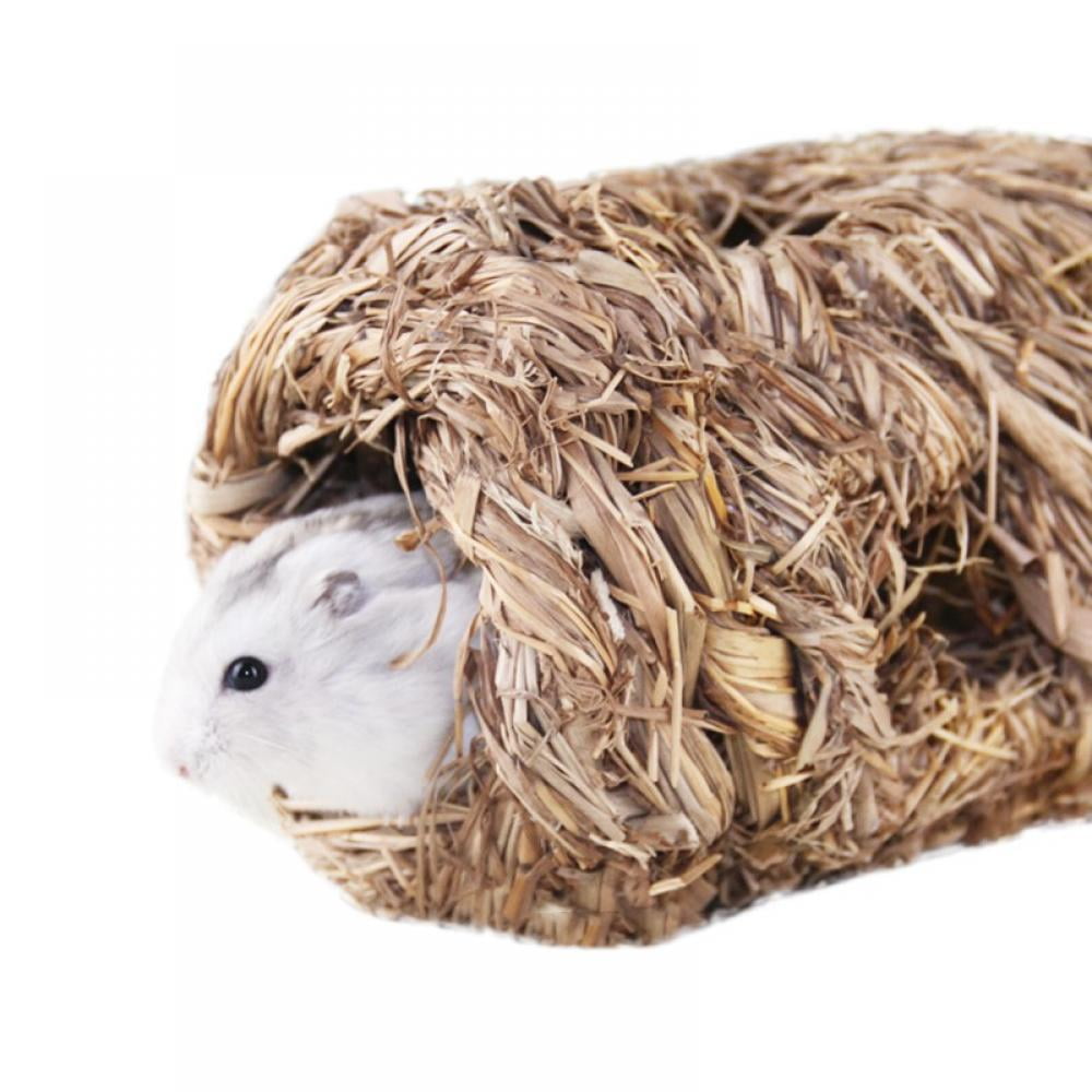 walmart rabbit supplies