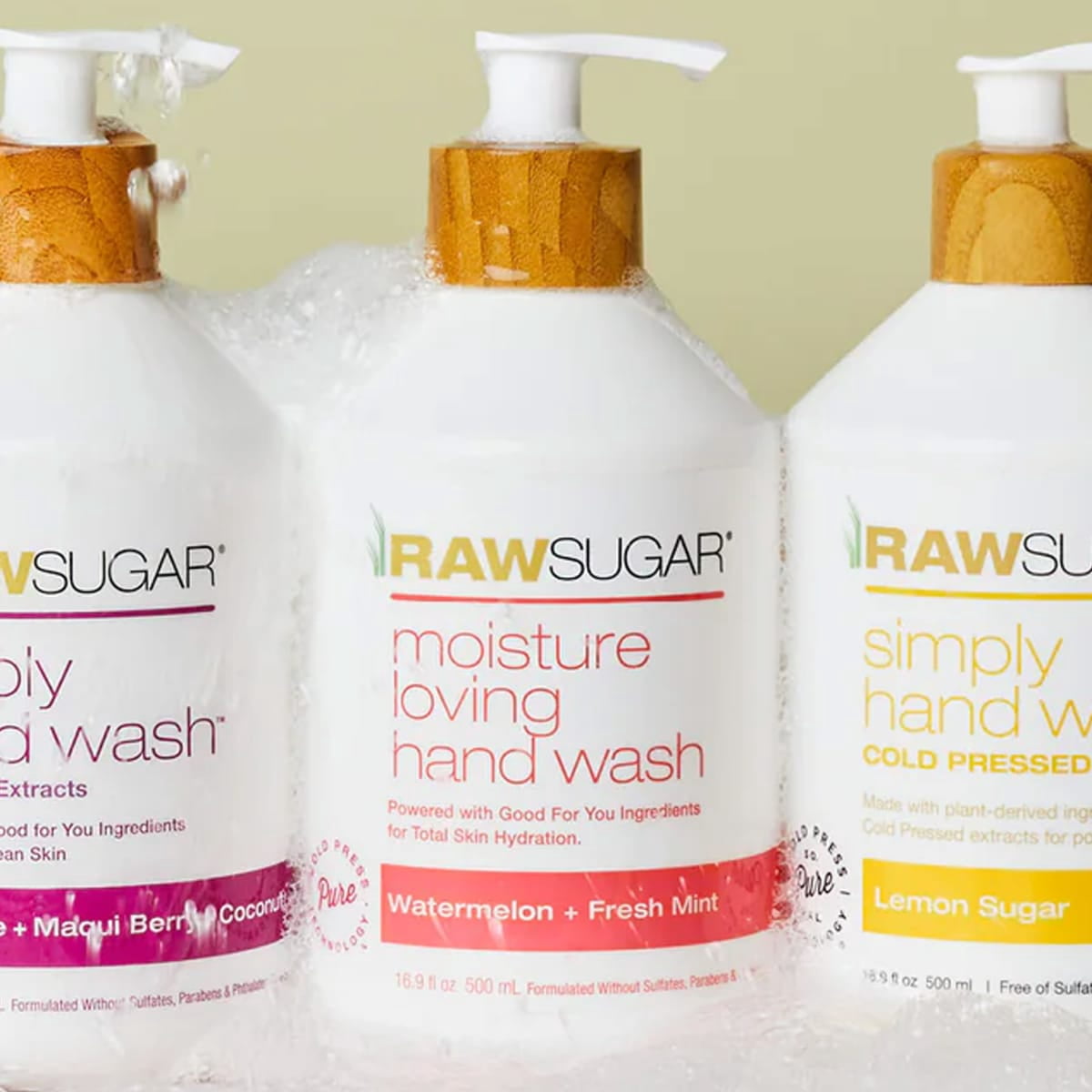 Raw Sugar Moisture Loving Hand Wash, Watermelon + Fresh Mint Hand Soap, 16.9 fl oz