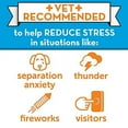 thumbnail image 2 of ThunderEase Dog Calming Pheromone Diffuser Kit | Powered by ADAPTIL | Vet Recommended to Relieve Separation Anxiety, Stress Barking & Chewing, and Fear of Fireworks & Thunderstorms (30 Day S, 2 of 3