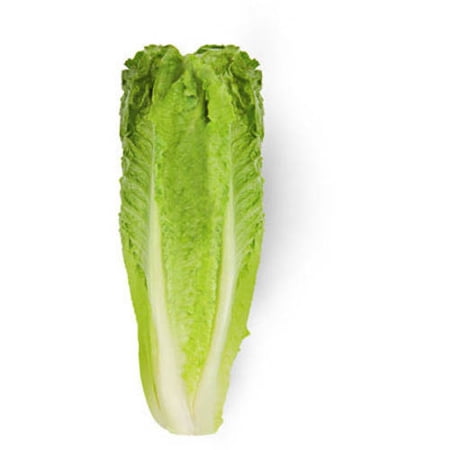 Romaine Lettuce, each