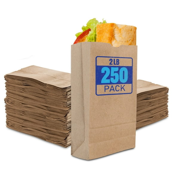 2 Lb Kraft Small Brown Paper Bags (250 Count) Mini Size Bag for Packing Breakfast Food, Snack, or Lunch Items - Blank Bulk Pack, Disposable Sack for Arts & Crafts Projects