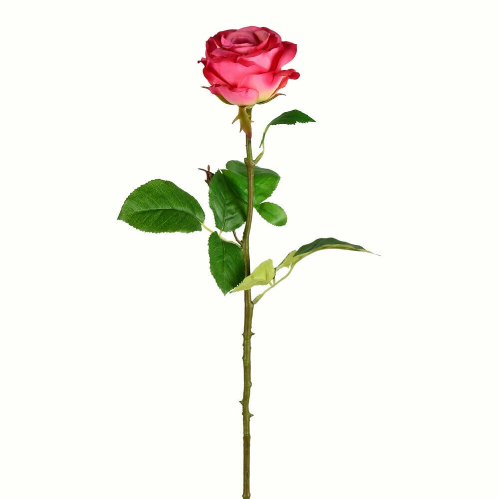 26 Deep Pink Rose Stem Pk 6 Walmart Walmart