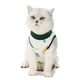 thumbnail image 4 of Traje de recuperación para Gatos, mono de Esterilización para Gatos, Disfraz de Gato para Gatos, Mono para Gatos Después de la Cirugía, Traje de Reboración parahasiDas, 4 of 7