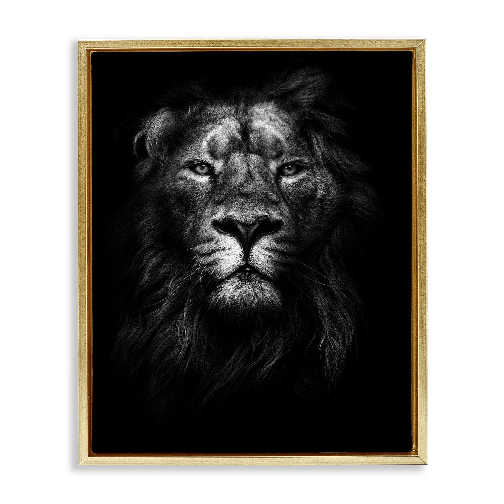Stupell Industries King of the Jungle Lion In Shadows Black and White Photography Metallic Gold Framed Floating Canvas Wall Art, 16x20, by Design Fabrikken