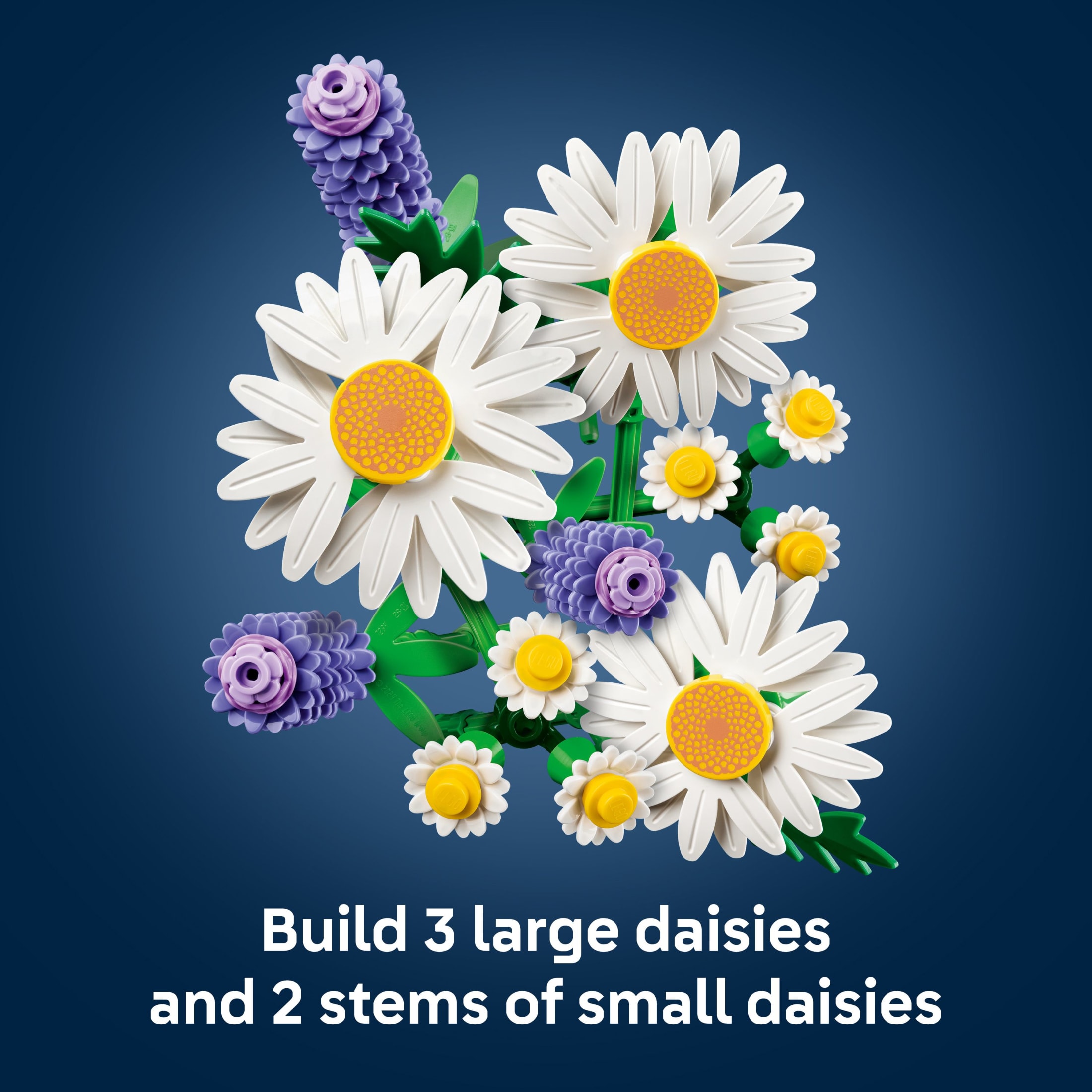 LEGO Botanicals Margaritas Juguete de Construcción - Regalo de Cumpleaños para Niños y Adultos, Edades 9+ - Decoración para Habitación de Niños para Estante o Escritorio, Niñas y Niños - 11508 4
