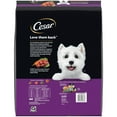 thumbnail image 3 of Cesar Filet Mignon Flavor And Spring Vegetables Dry Dog Food, 12 Lb Bag, 3 of 13