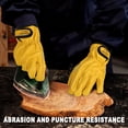 thumbnail image 5 of 2 Pairs Leather Work Gloves for Men and Women,Cowhide Leather Gloves Utility Working Gloves, 5 of 5