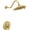 Brushed Gold, variant on Moen Weymouth Chrome Posi-Temp(R) Shower Only