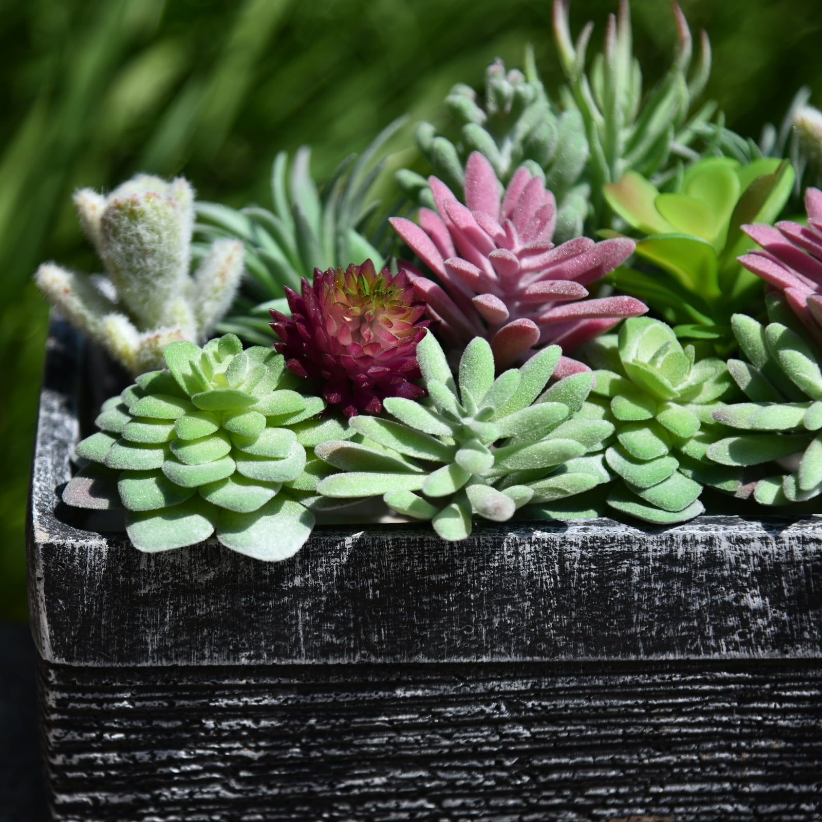 Thatswut - 20 Pack Bulk Large Assorted Realistic Artificial Faux Succulents Aloe Plants Realistic Fake Succulent Plants