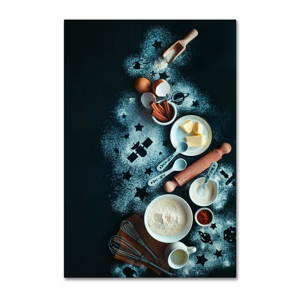 Trademark Fine Art 'Baking For Stargazers' Canvas Art by Dina Belenko