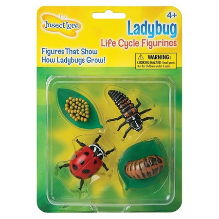 UPC: 0735569060904 | Insect Lore Ilp6090 Ladybug Life Cycle Stages