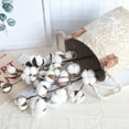 thumbnail image 3 of BJYX Natural Cotton Stick Natural Dried Flower Simulation Flower Kapok Simple, 3 of 6