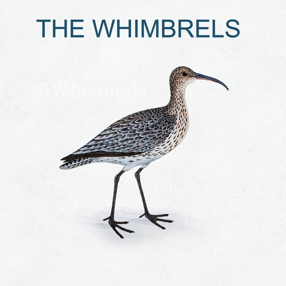 The Whimbrels - The Whimbrels - Music & Performance - CD