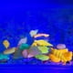 thumbnail image 3 of 100 adoquines luminosos que brillan en la oscuridad para decoración de grava de acuarios, peceras y jardines (colores surtidos)., 3 of 4