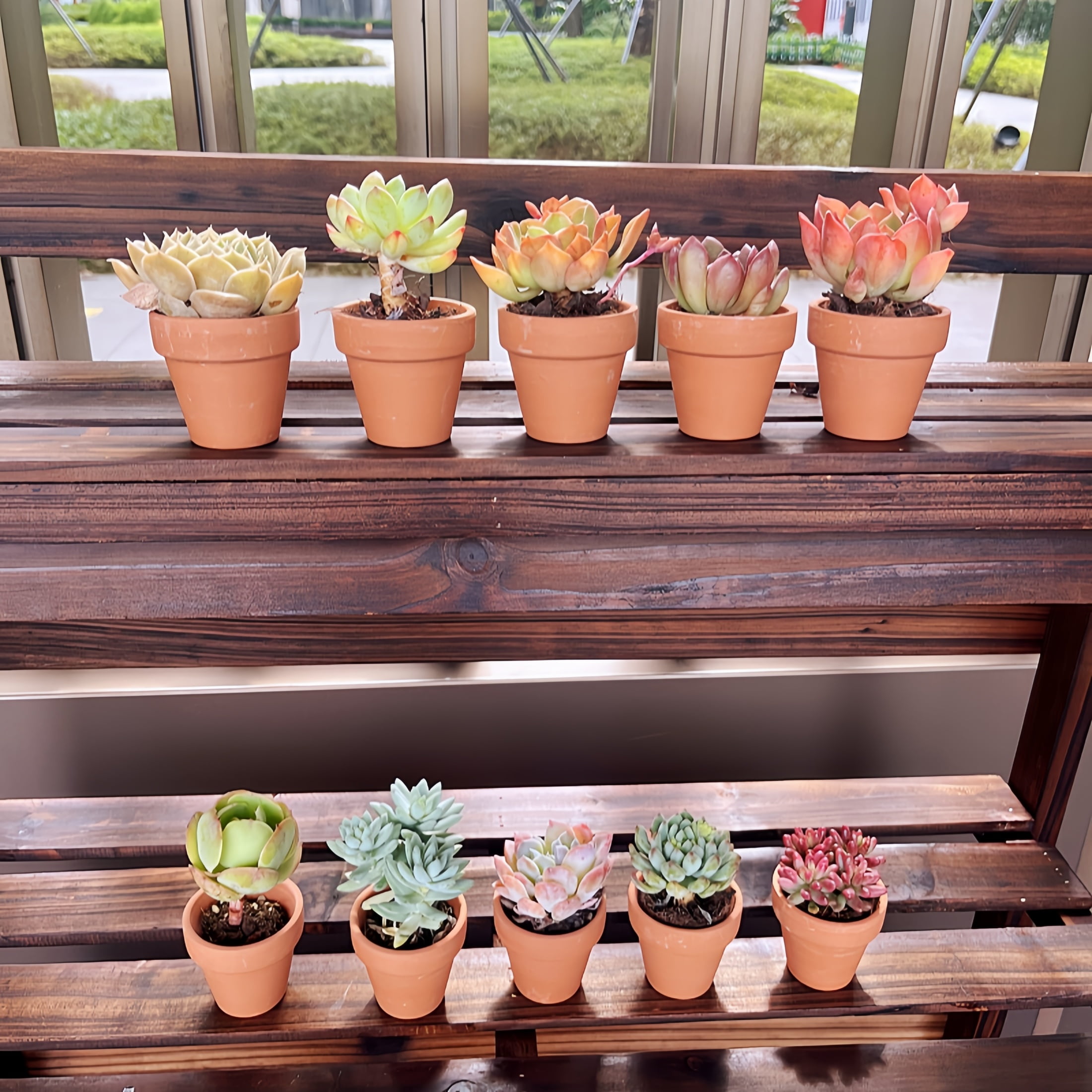 48pcs, Small Mini 2.2" Terracotta Pot Clay Ceramic Pottery Planter, Cactus Flower Nursery Terra Cotta Pots, With Drainage Hole, For Indoor/Outdoor Succulent Plants, Crafts, Wedding Favor
