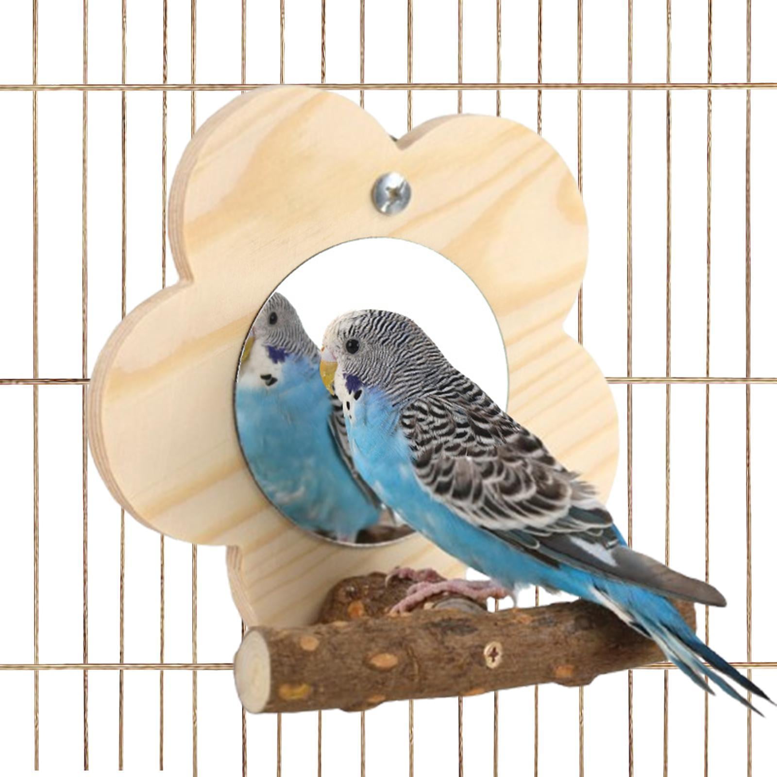 Vaveren Bird Cage Perches Mirror Chewing Toy Puzzle Toy for Lovebirds Finch Canaries
