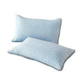 Namzi 2Pcs Cool silk latex mat solid color pillowcase Dream nights