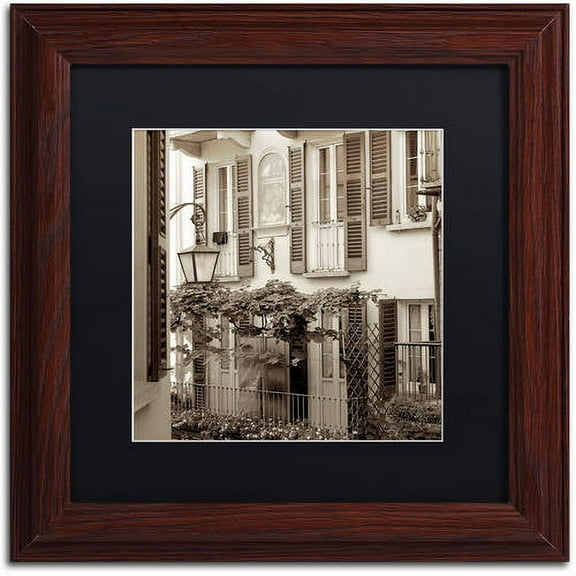 Trademark Fine Art "Bellagio I" Canvas Art by Alan Blaustein, Black Matte, Wood Frame