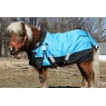 thumbnail image 6 of Derby Originals Nordic-Tough Winter Mini Pony Turnout Blanket 1200D Heavy Weight, 6 of 8