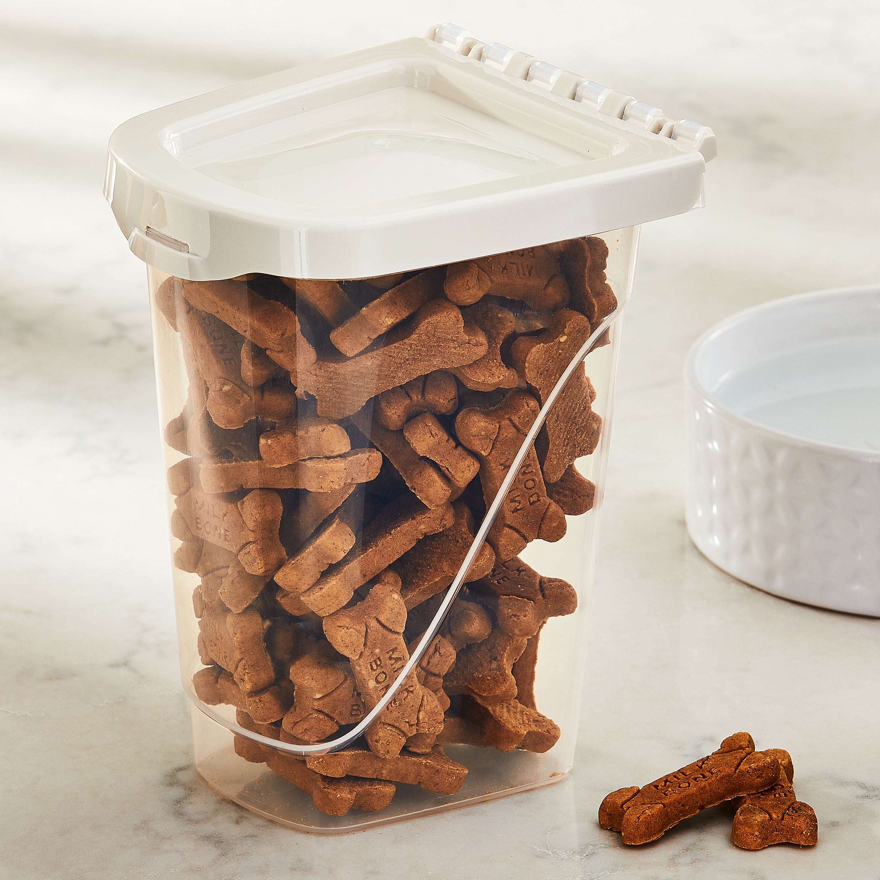 Vibrant Life Pet Treat Storage Container, 2 lb